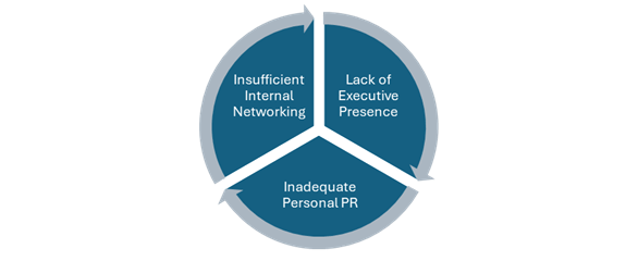 A circular diagram illustrating three key factors contributing to being passed over for promotion: 'Insufficient Internal Networking,' 'Lack of Executive Presence,' and 'Inadequate Personal PR.'